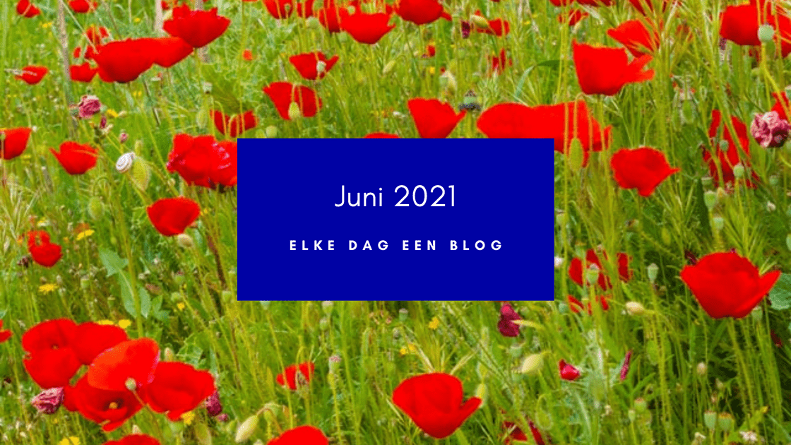 Je bekijkt nu Juni 2021: elke dag een blog